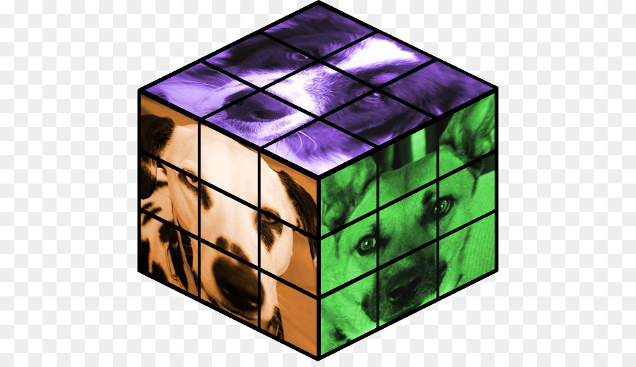 Kubus Rubik，Kucing Rubik Cube PNG