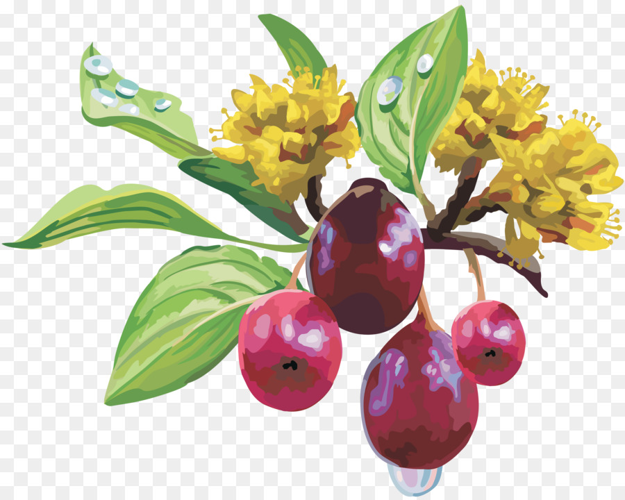 Buah，Anggur PNG