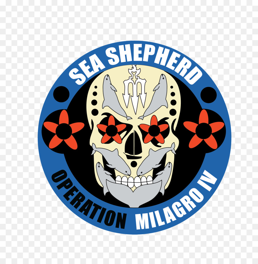 Teluk California，Sea Shepherd Conservation Society PNG