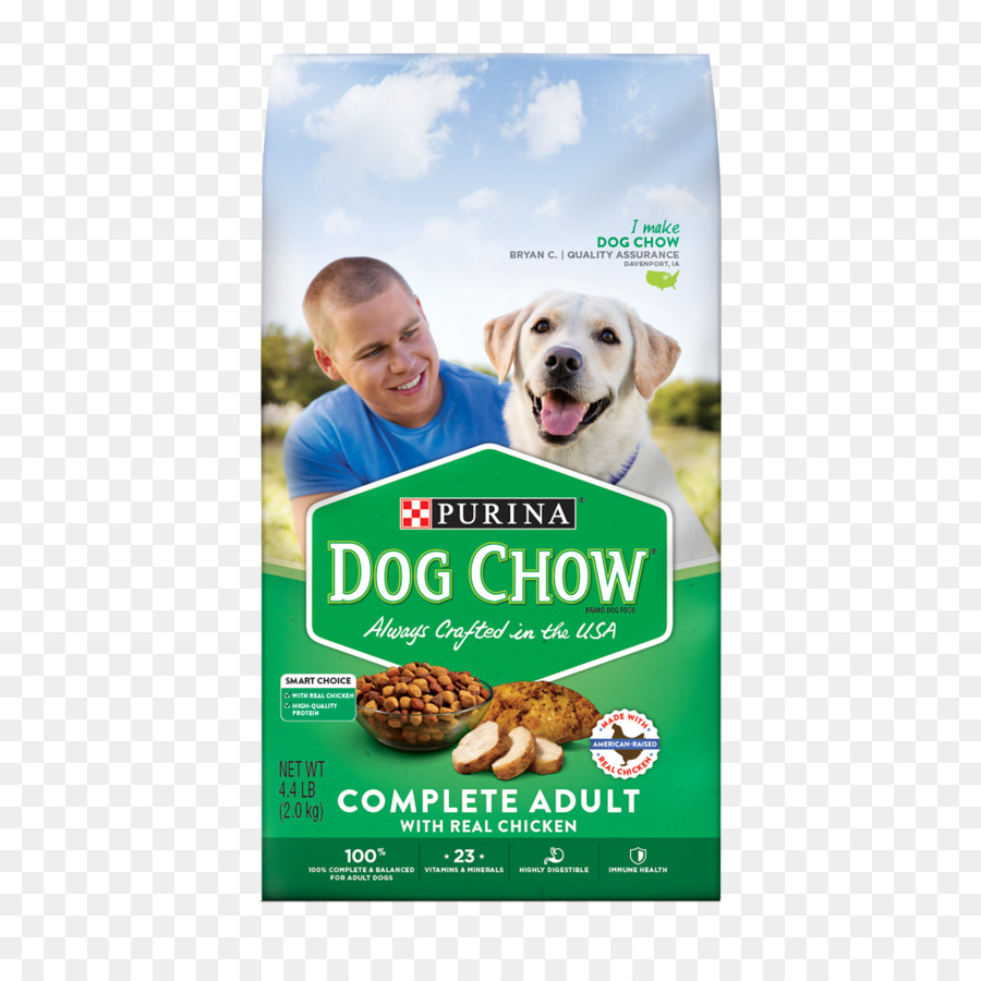 Anjing，Anjing Chow PNG