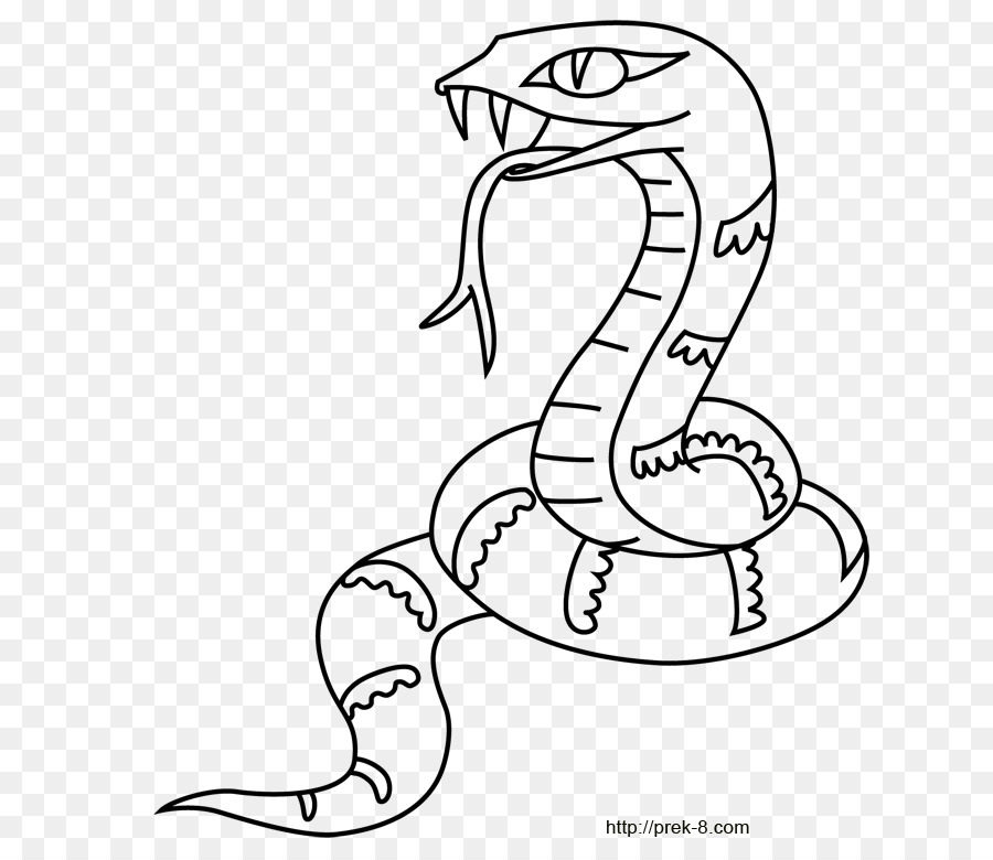 kisspng snake coloring book crocodile tiger drawing cartoon jungle 5b3d3e9ca8d5d9.0914979815307403806916