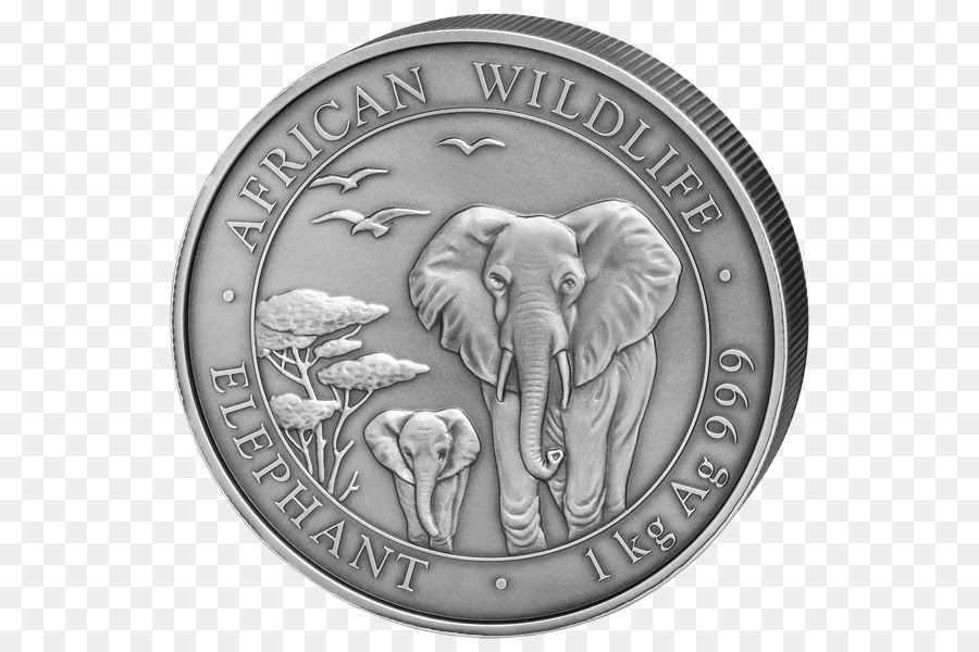 Koin，Gajah Afrika PNG