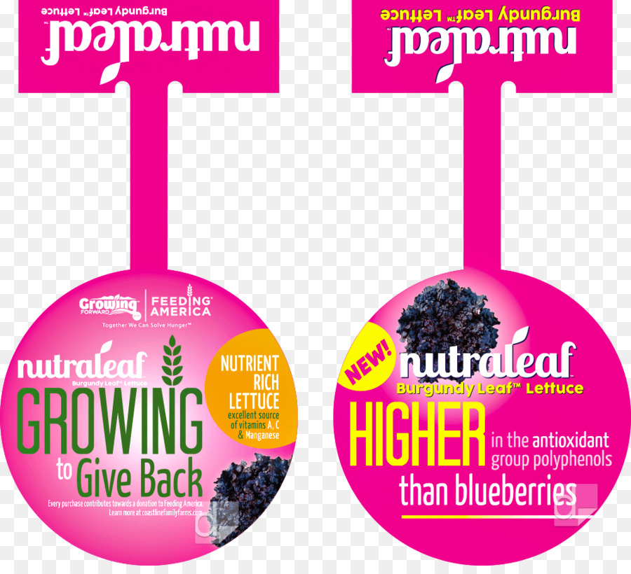 Label Selada Nutraleaf，Selada PNG