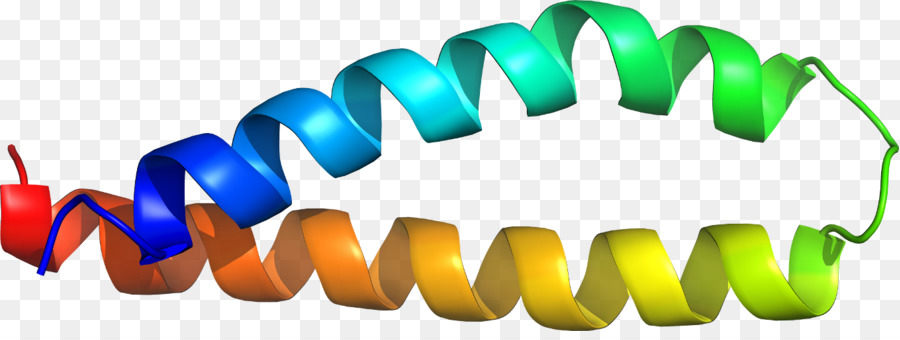 Garis，Protein PNG