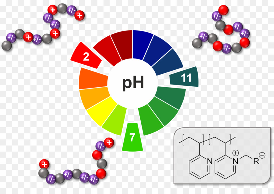 2vinylpyridine，Polyampholytes Sintesis Karakterisasi Dan Aplikasi PNG