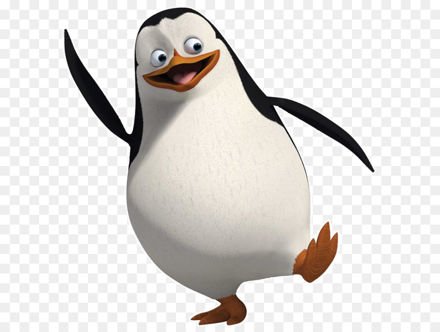 Penguin，Kartun PNG