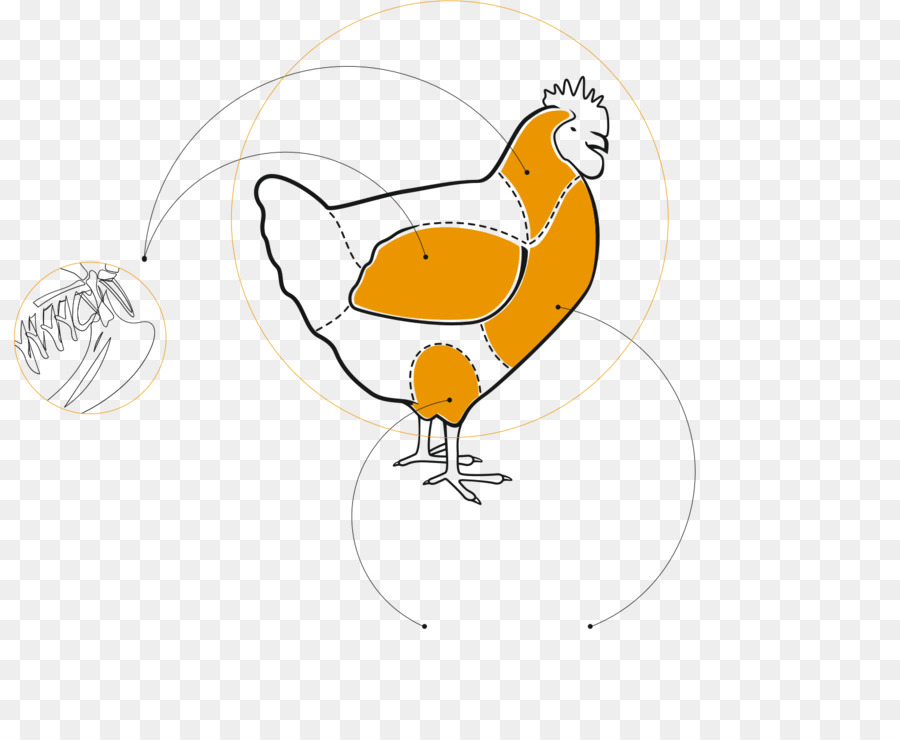 Ayam，Gambar PNG