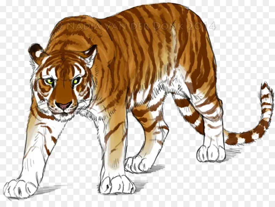 Kuda Harimau，Hewan PNG