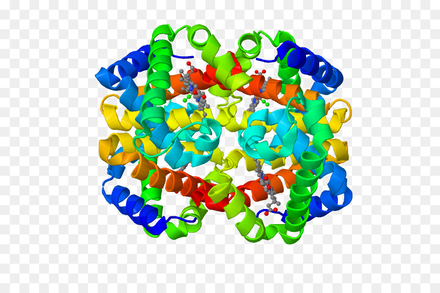 Struktur Protein，Molekul PNG