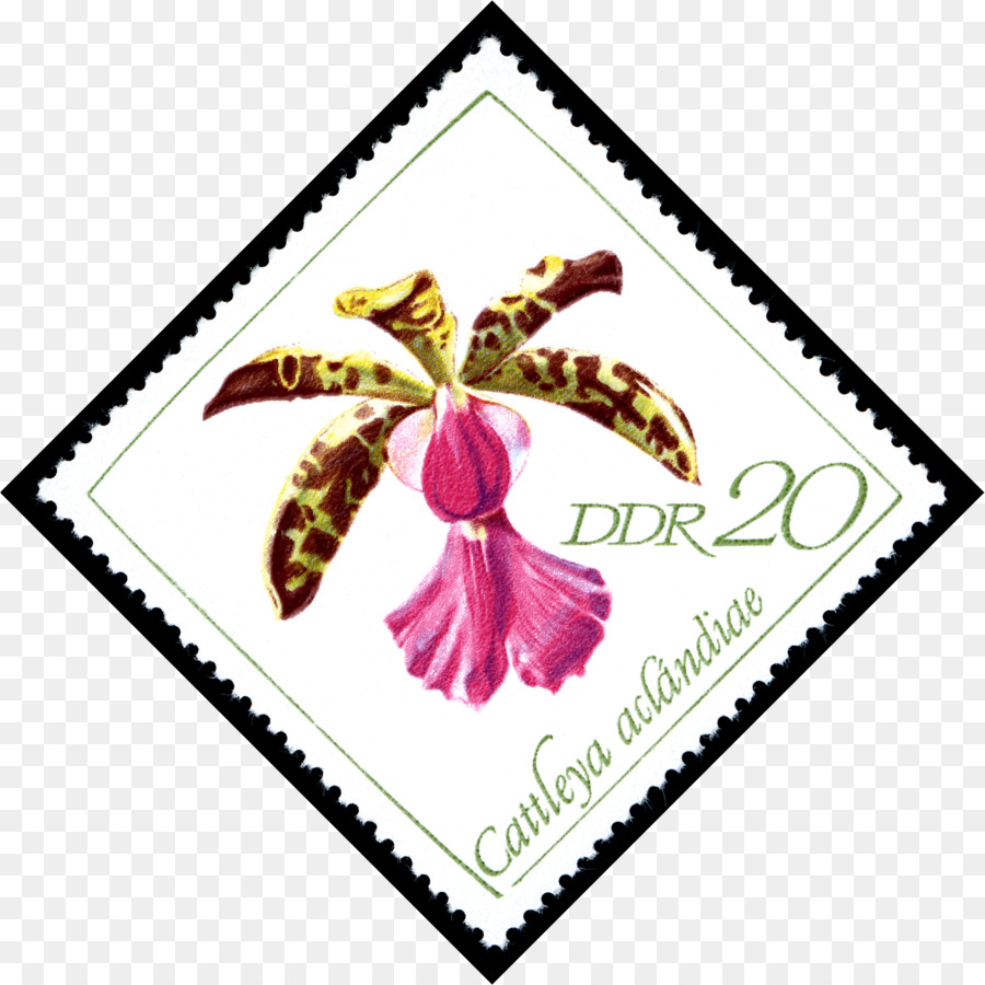 Stempel Anggrek，Bunga PNG