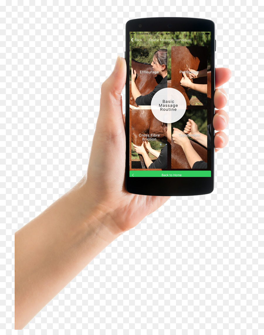 Smartphone，Equestricare PNG