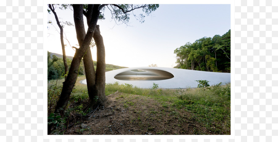 Teshima Museum Seni，Museum Artscience PNG