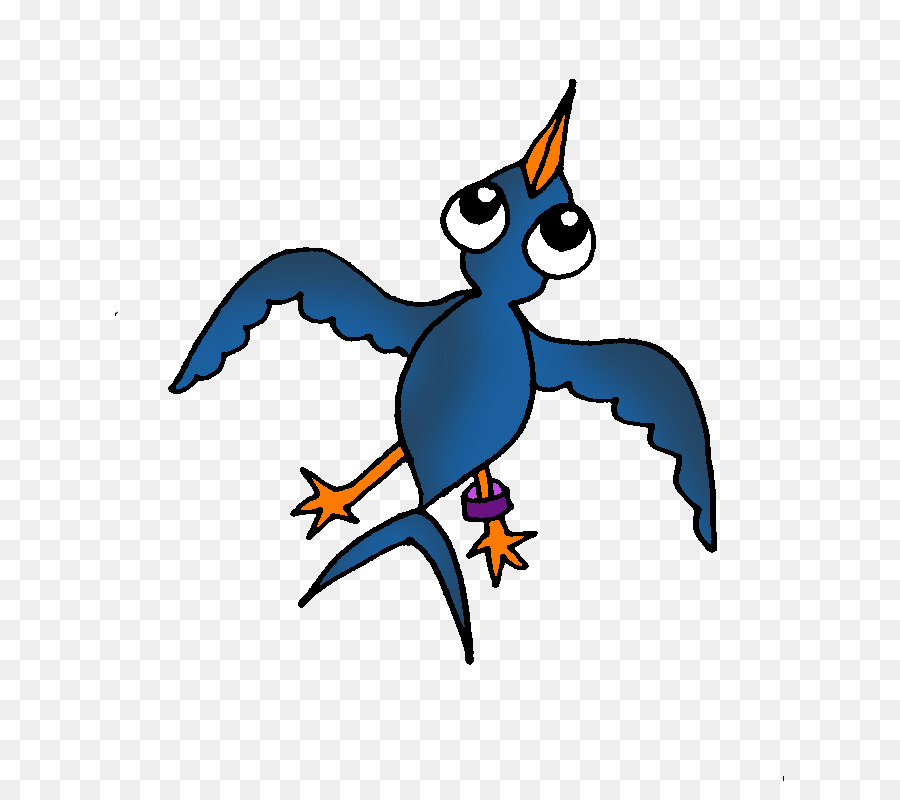 Paruh，Macaw PNG