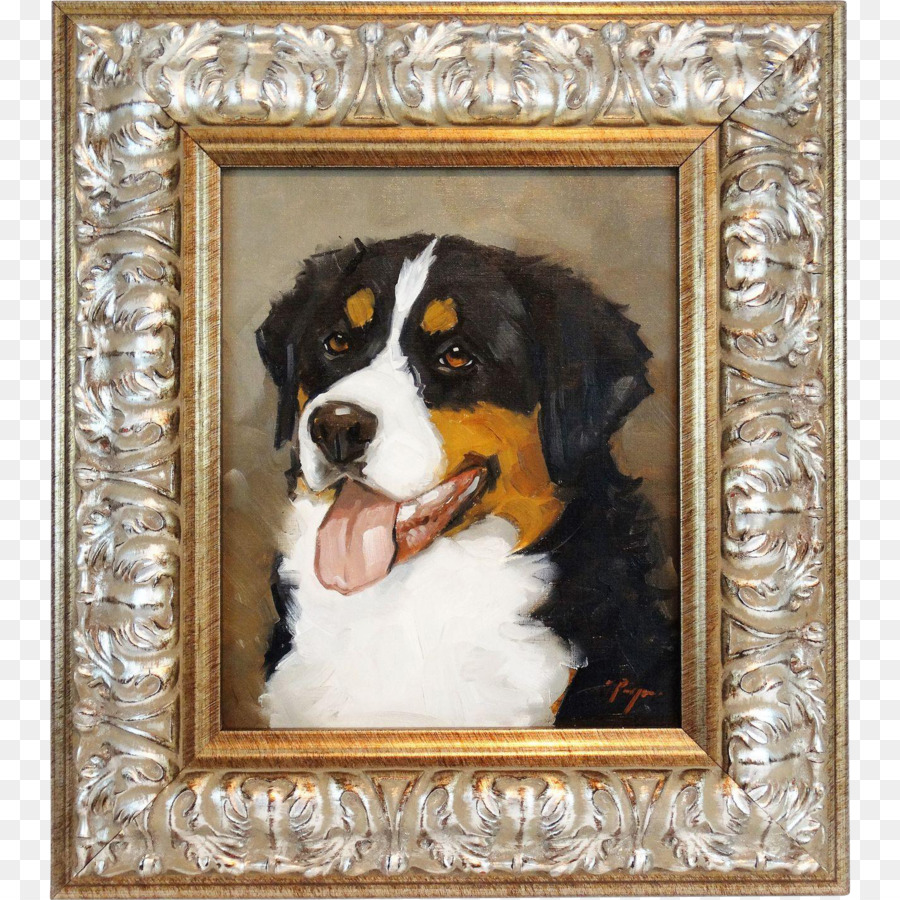 Anjing Berkembang Biak，Bernese Mountain Dog PNG