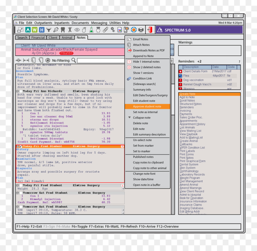 Screenshot，Program Komputer PNG
