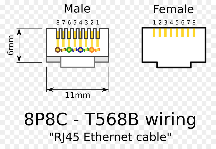 Kabel Ethernet，Jaringan PNG