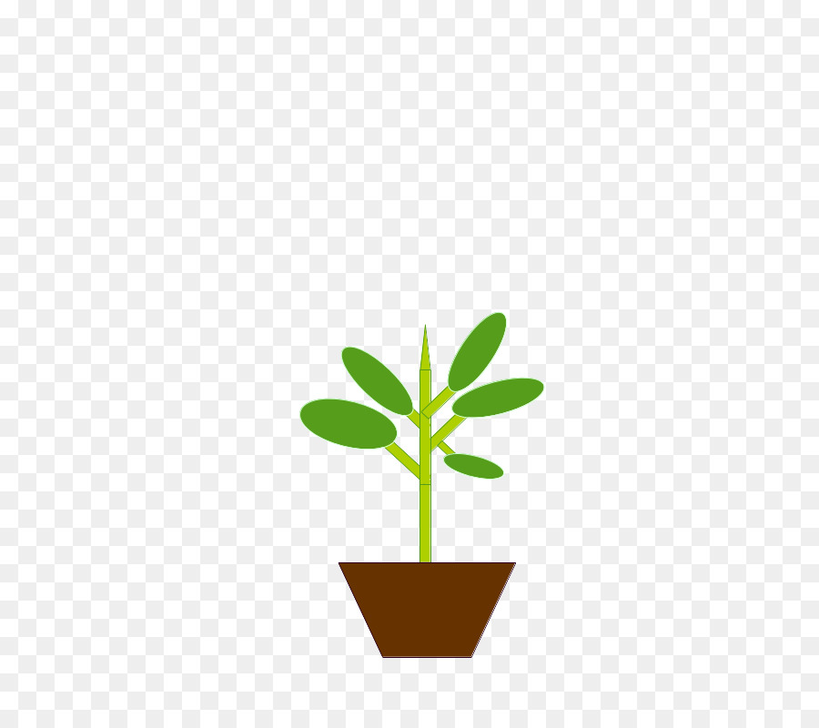 Daun，Pot Bunga PNG