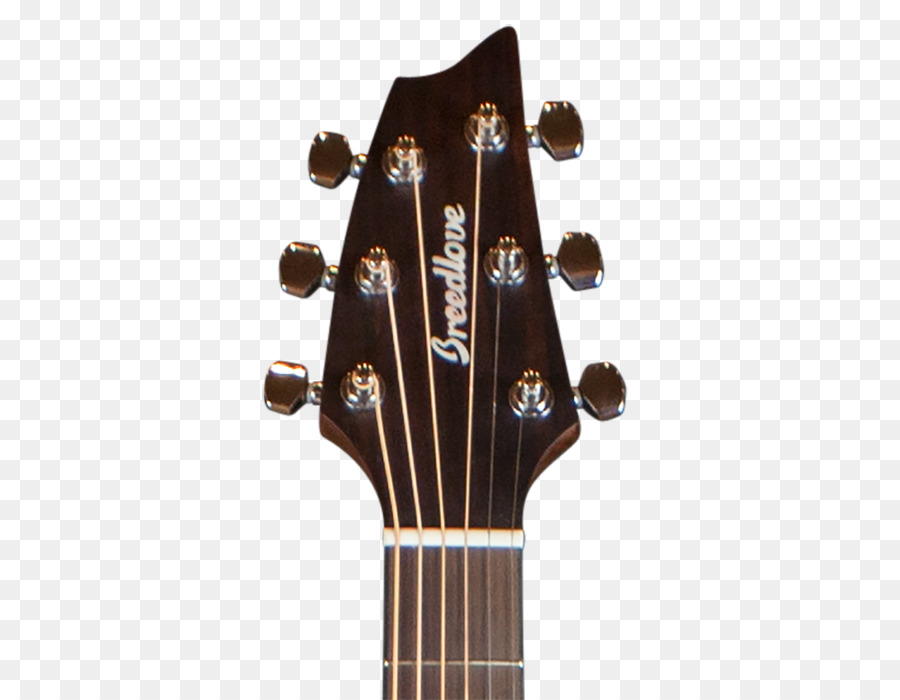 Headstock Gitar，String PNG