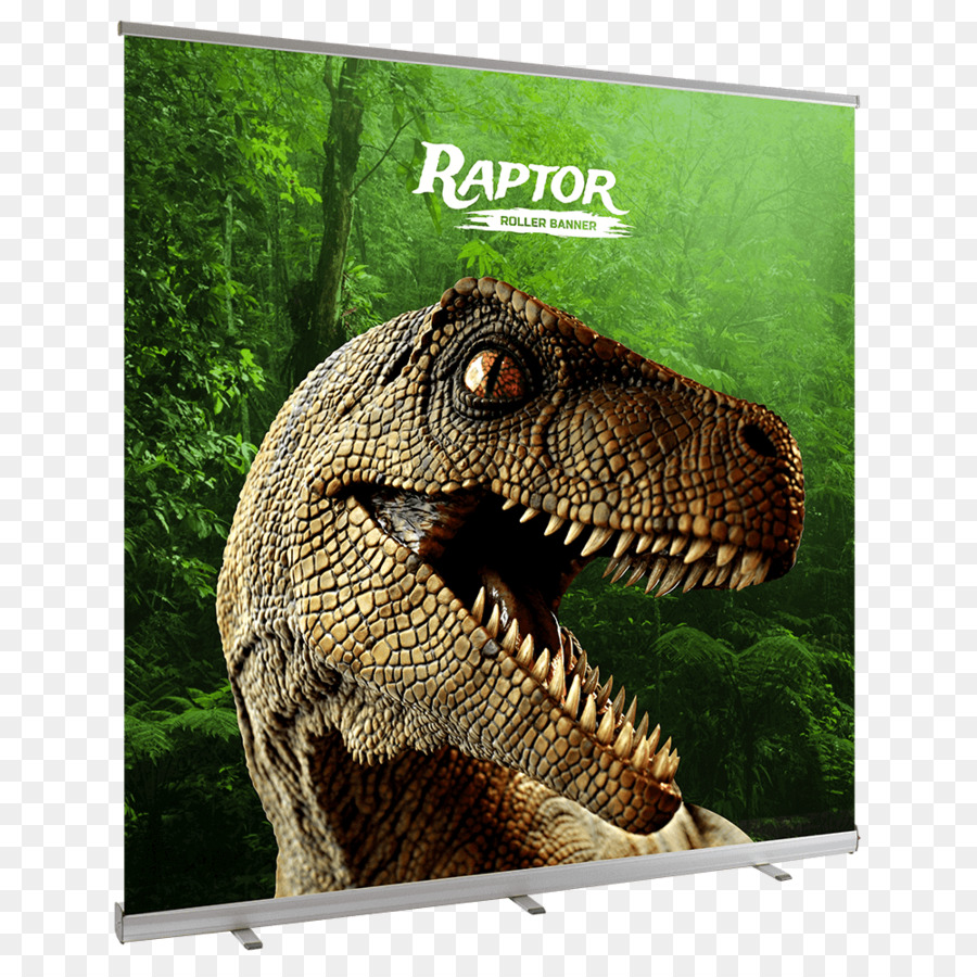 Dinosaur Kota，Fictionbook PNG