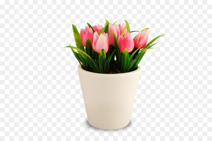 4000 Gambar Bunga Tulip Dalam Pot Hd Terbaru Infobaru