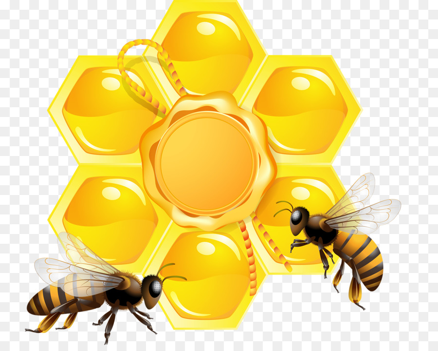  Lebah  Sarang  Lebah  Madu gambar  png