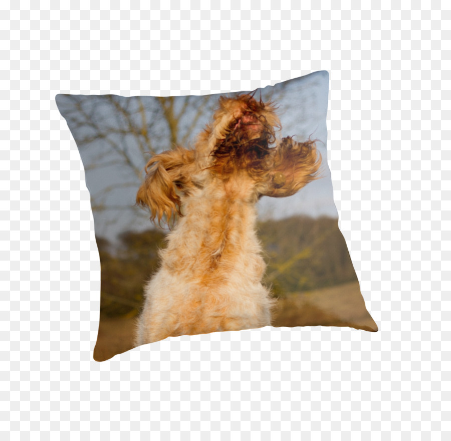 Anjing Berkembang Biak，Bantal PNG