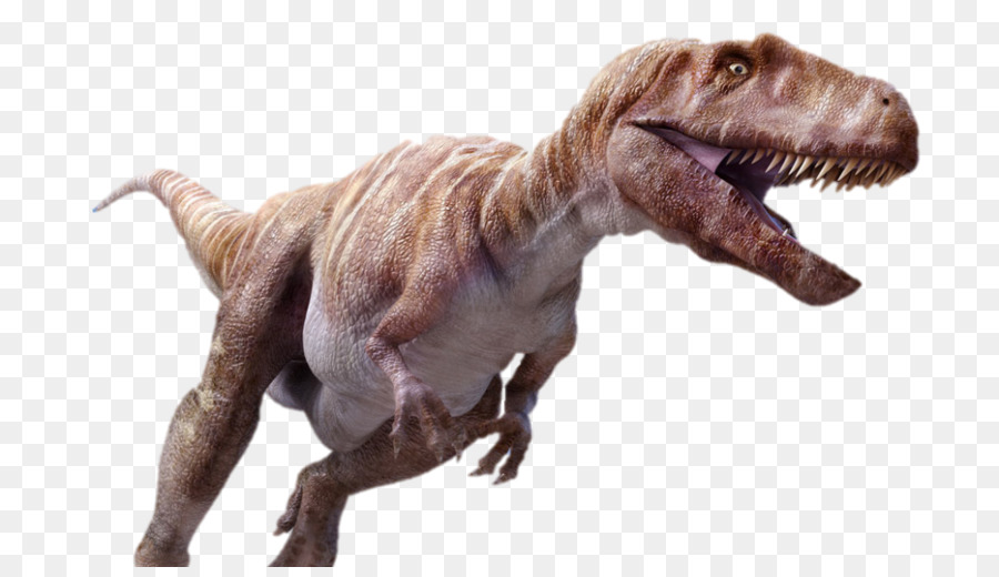 Dinosaurus，Prasejarah PNG