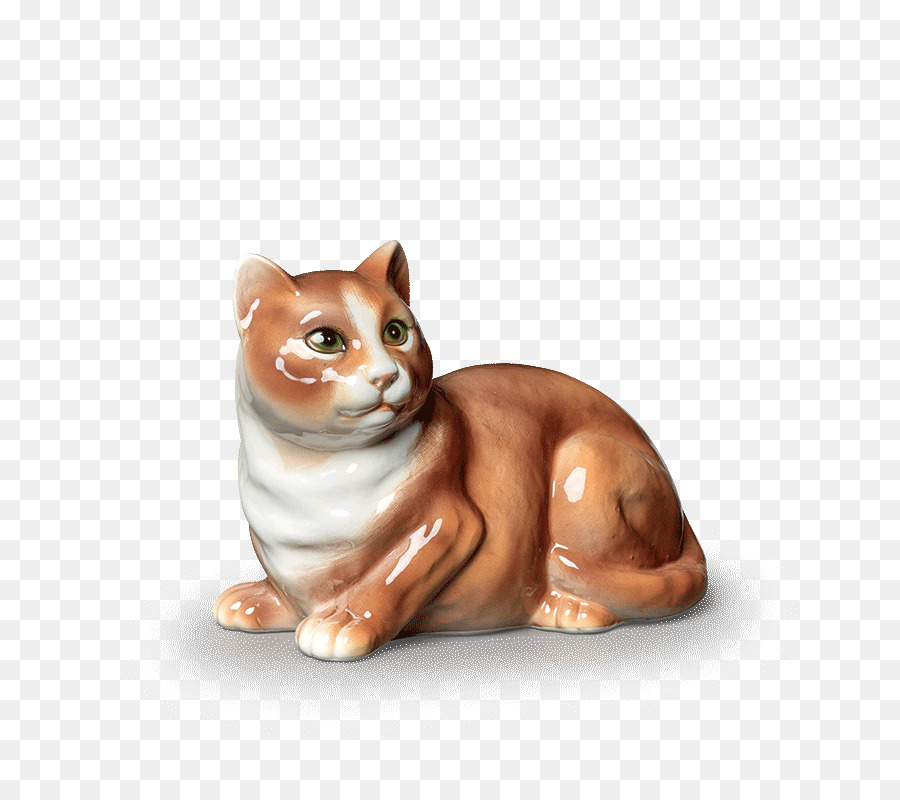 Tabby Kucing，Kucing PNG
