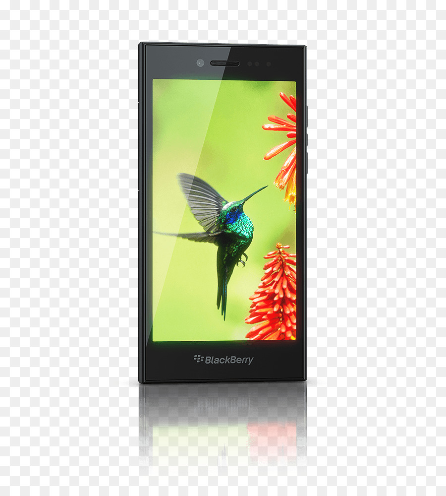 Blackberry Lompatan，Blackberry PNG