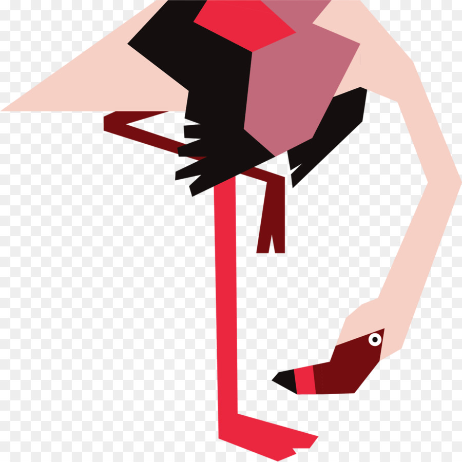Flamingo，Ilustrator PNG