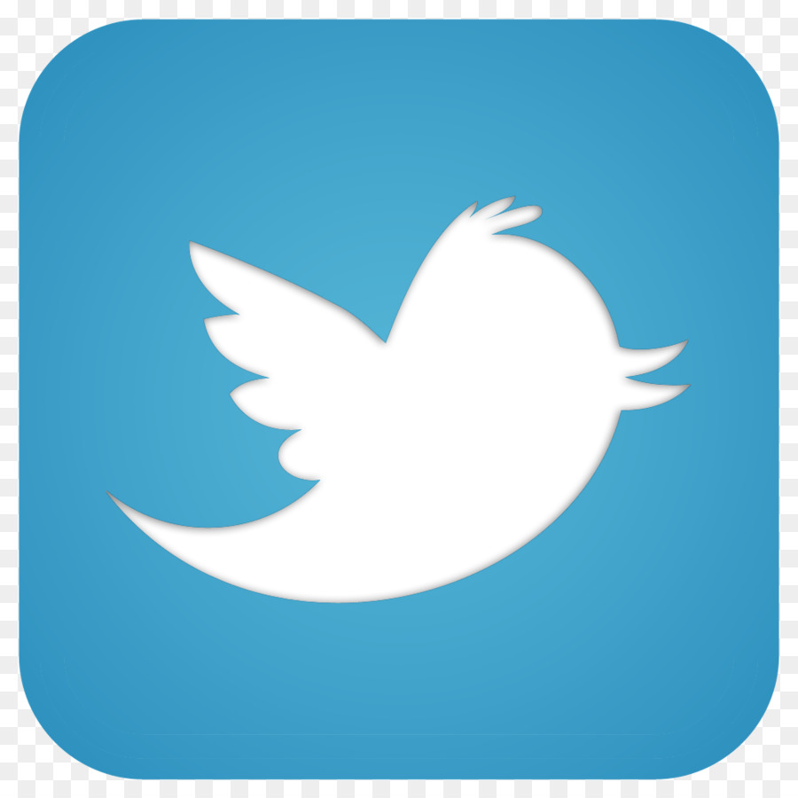 Logo Twitter，Media Sosial PNG