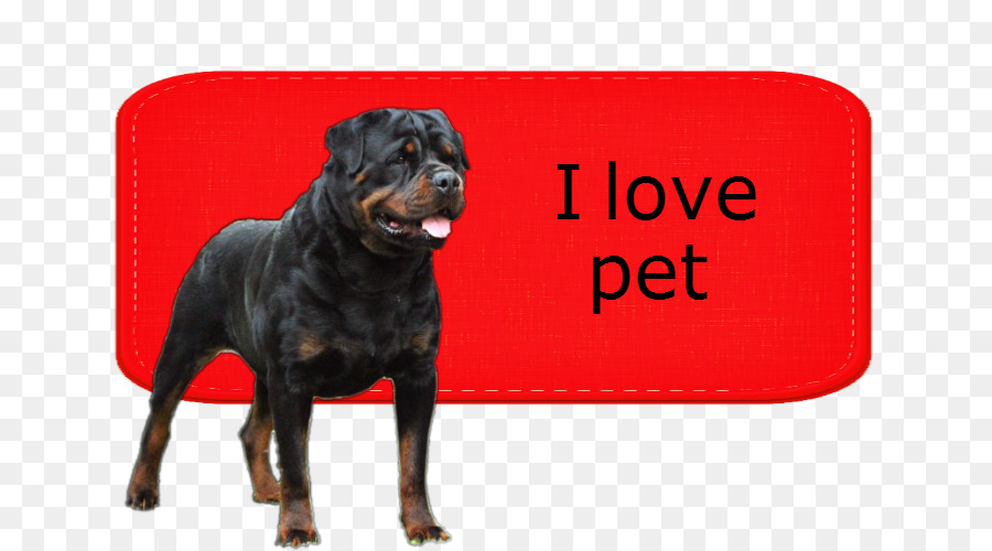 Anjing Berkembang Biak，Rottweiler PNG