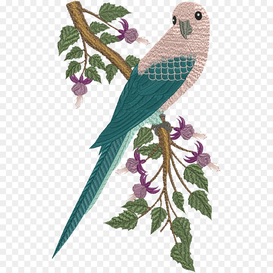 Bordir，Burung Beo PNG