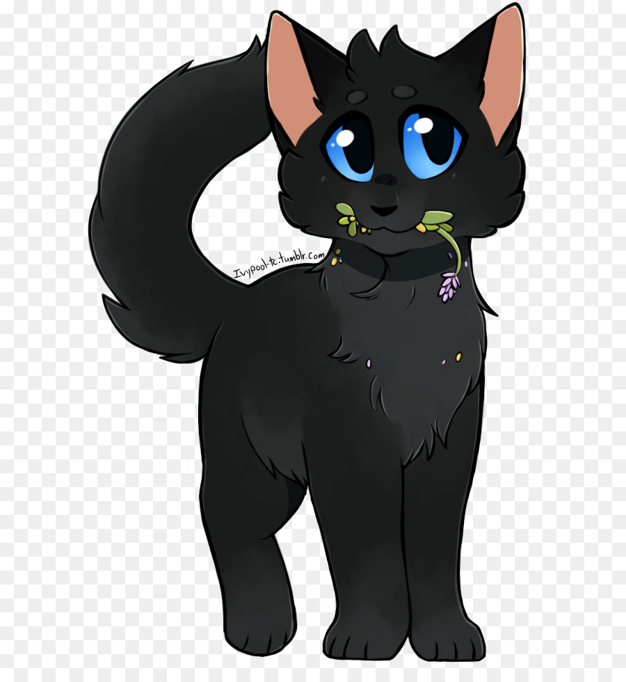 Kucing Hitam，Kucing PNG