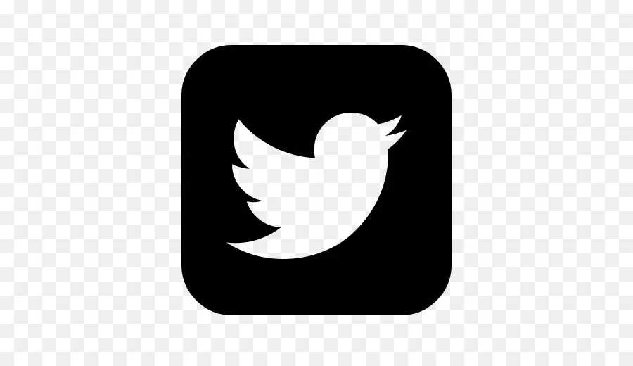 Logo Twitter，Media Sosial PNG