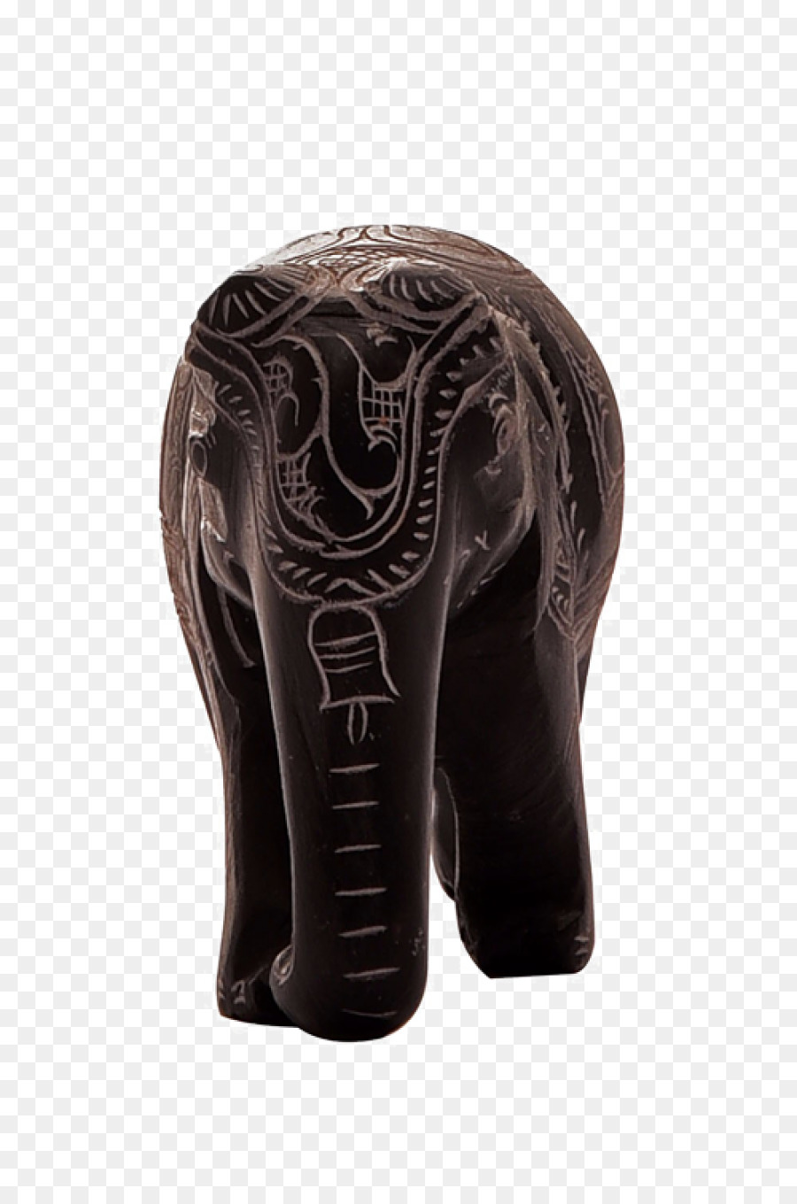 Elephantidae，Sepatu PNG