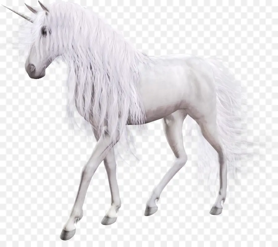 Unicorn，Klakson PNG