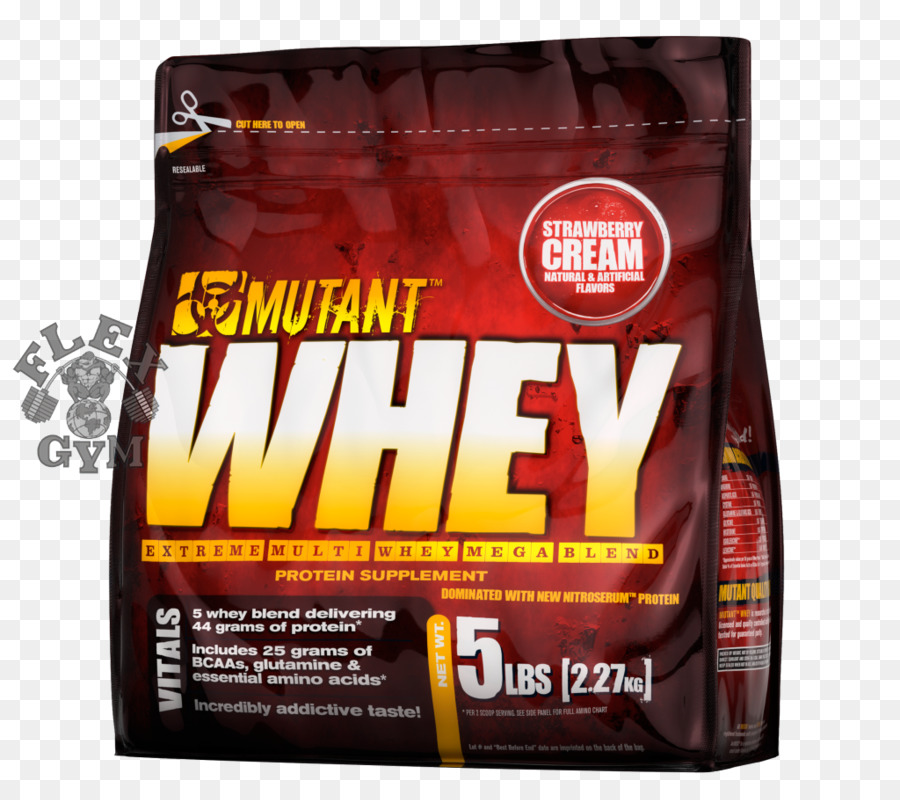 Suplemen Makanan，Whey Protein PNG