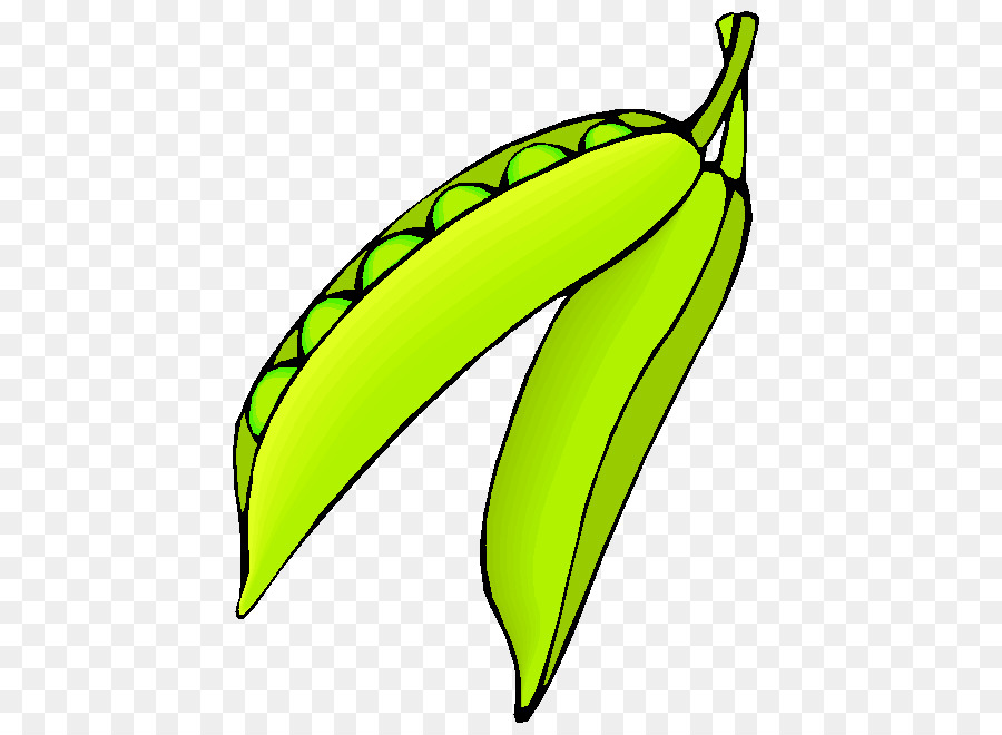 Pisang，Kacang PNG