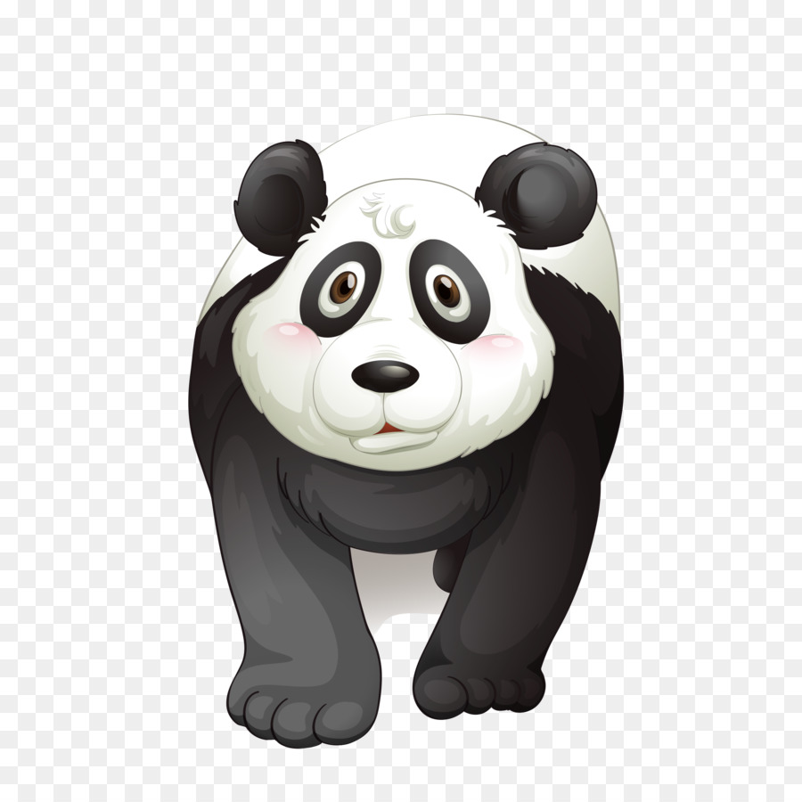 Panda，Beruang PNG