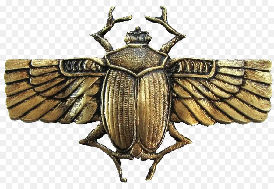 Kumbang Scarab，Sayap PNG