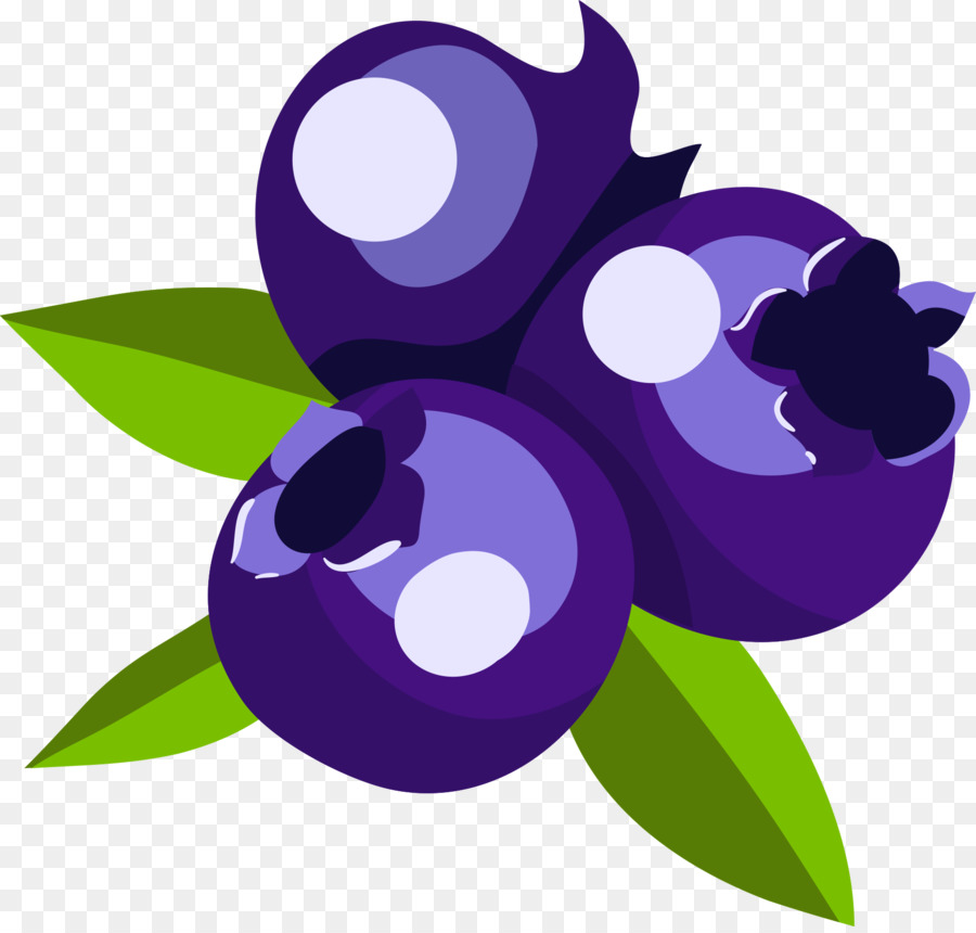 Blueberry，Daun Daun PNG