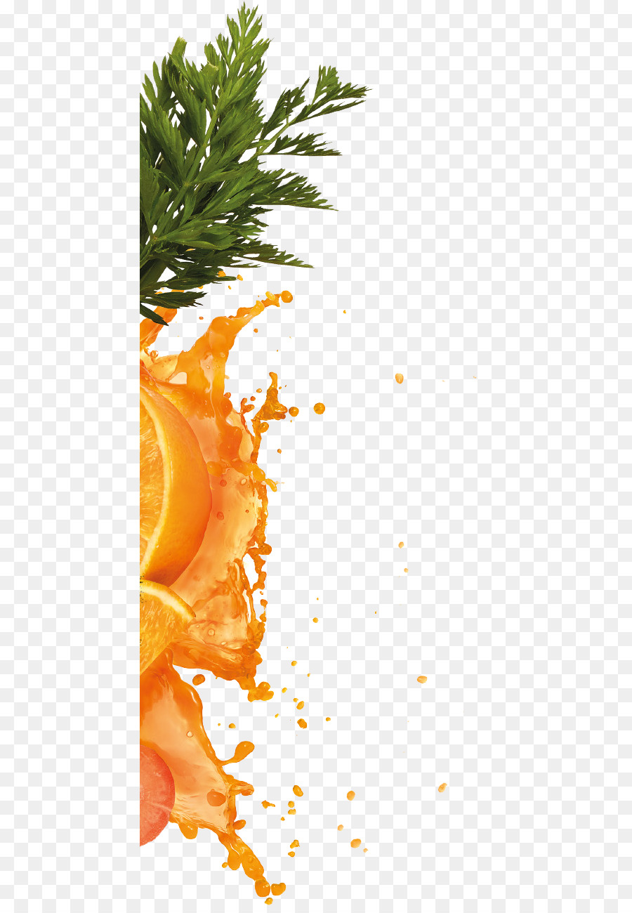 Orange，Jus Jeruk PNG