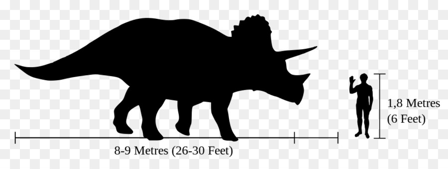 Ankylosaurus，Tyrannosaurus PNG