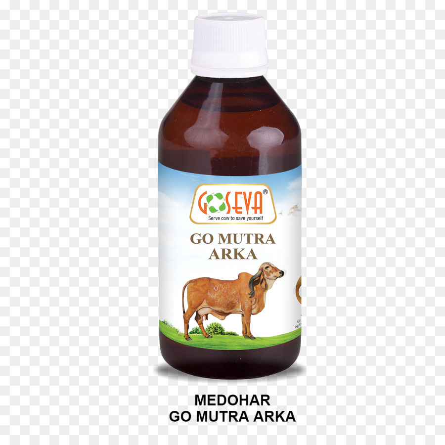 Ternak，Gomutra PNG