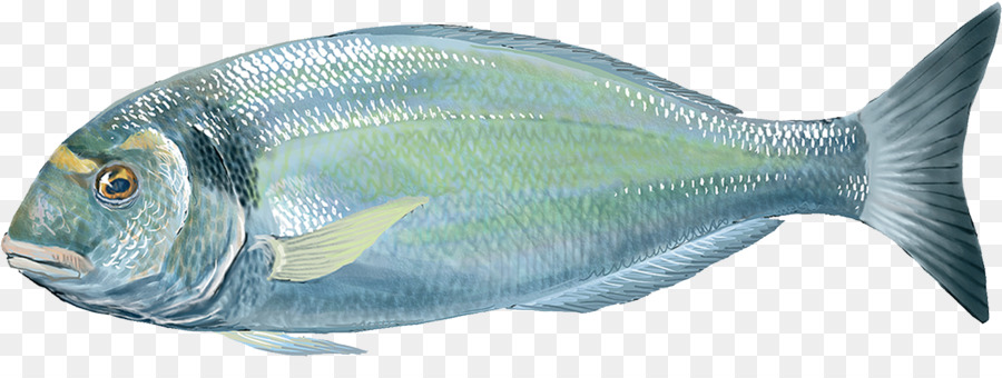 Ikan，Akuatik PNG