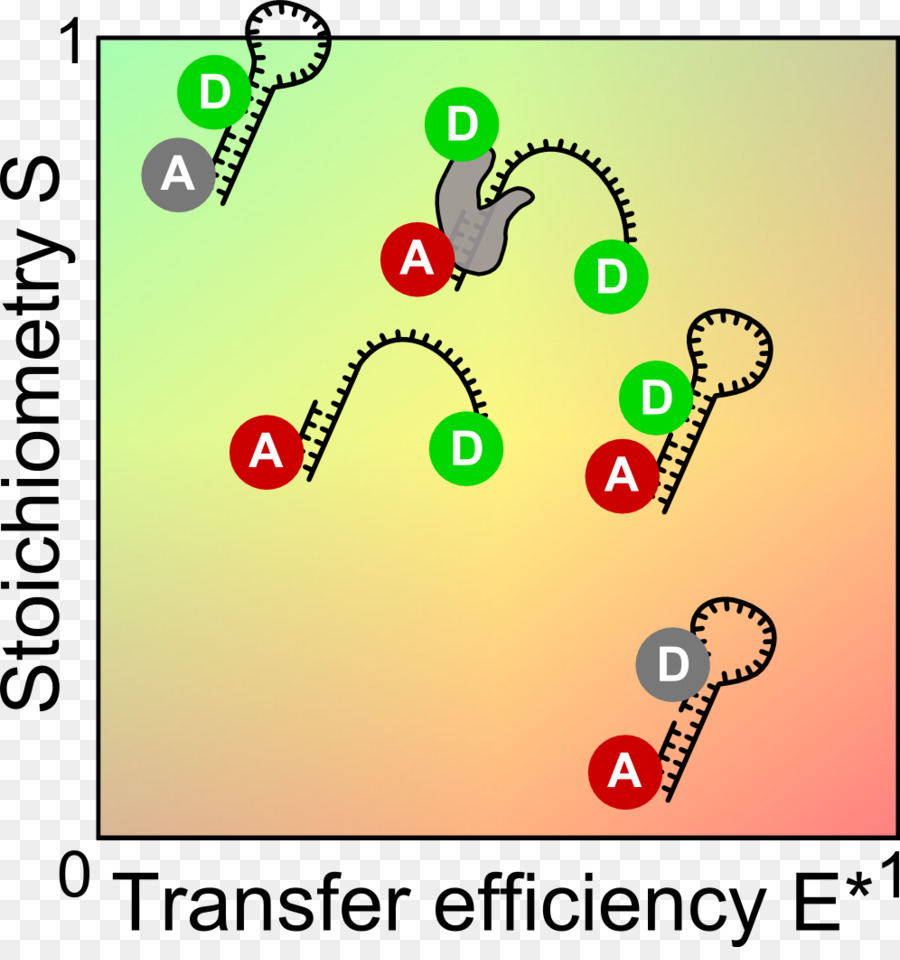 Förster Transfer Energi Resonansi，Singlemolecule Resah PNG