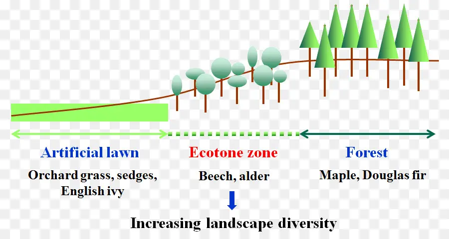 Diagram Zona Ekoton，Ramah Lingkungan PNG