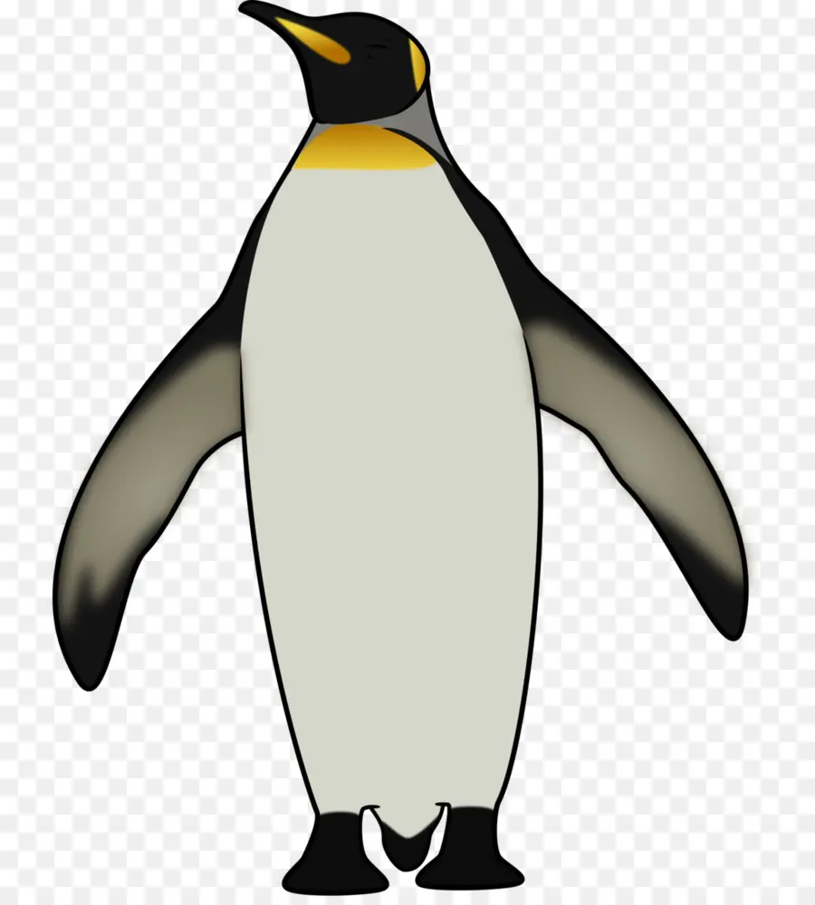 Raja Penguin，Penguin PNG