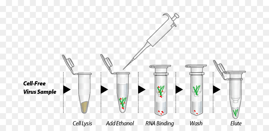 Процесс выделения днк. Выделение ДНК схема. Этапы выделения ДНК. Фенольный метод выделения ДНК. Выделение ДНК фенол хлороформной экстракции.